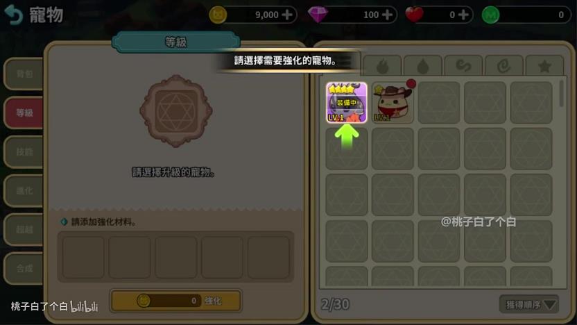 浮岛物语彩虹一装就闪退(浮岛物语怎么解锁彩虹门)